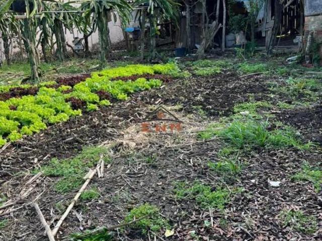 Terreno à venda em Monte Pasqual