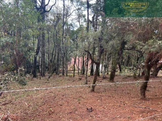 Terreno à venda em Monte Verde