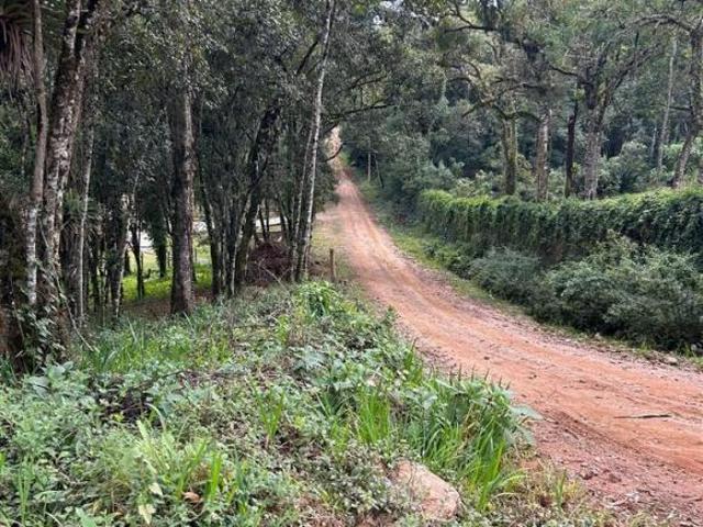 Terreno à venda em Monte Verde