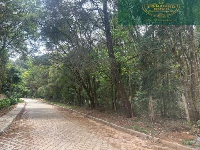 Terreno à venda em Monte Verde