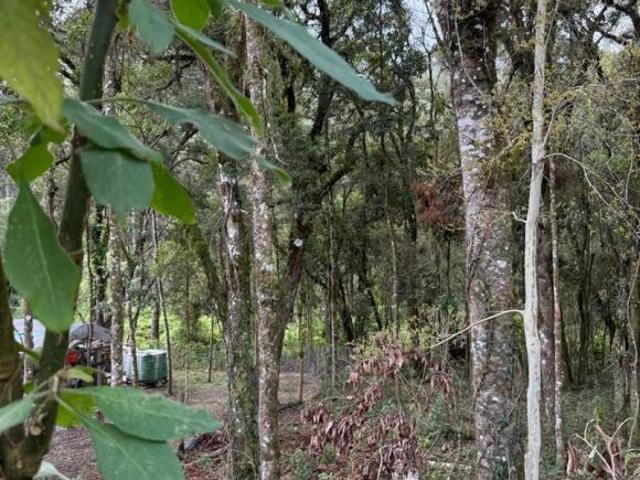 Terreno à venda em Monte Verde
