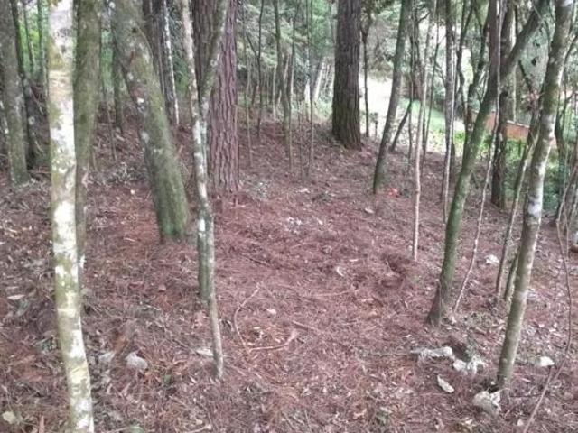 Terreno à venda em Monte Verde