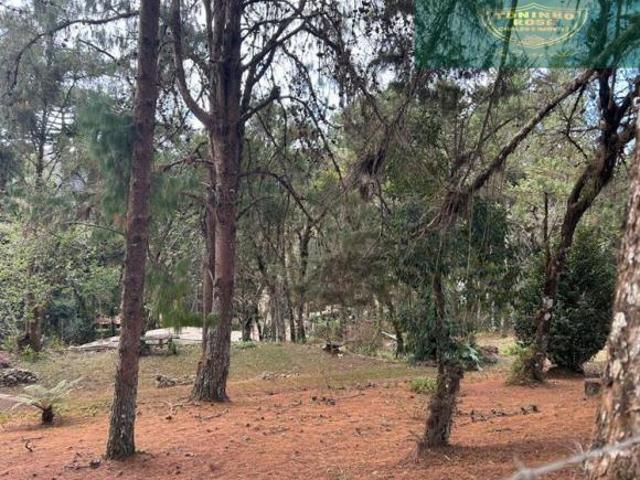 Terreno à venda em Monte Verde