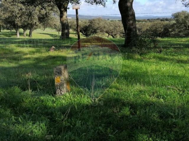 Terreno à venda em Montejuntos