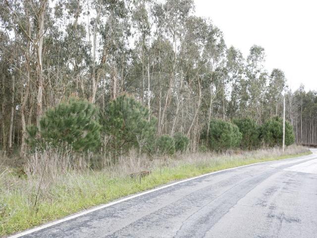 Terreno à venda em Arazede, Montemor o Velho RE/MAX Portugal