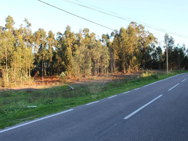 Terreno à venda em Montemor o Velho