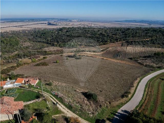 Terreno à venda em Montemor o Velho