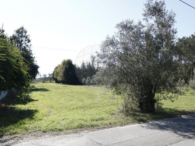 Terreno à venda em Montemor o Velho