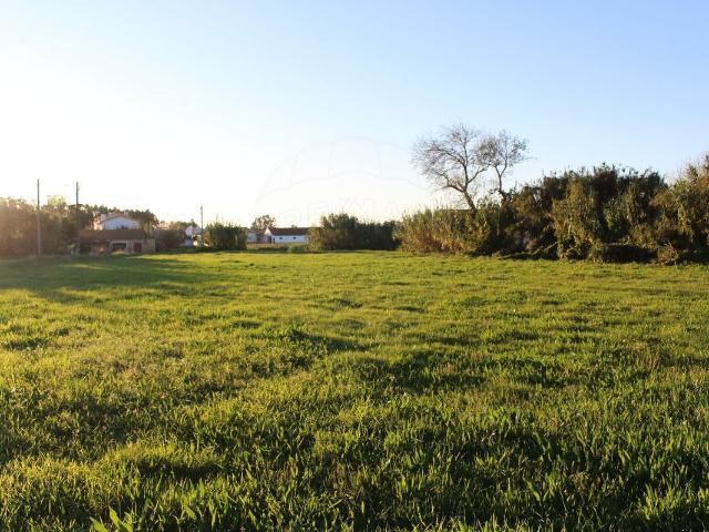 Terreno à venda em Montemor o Velho