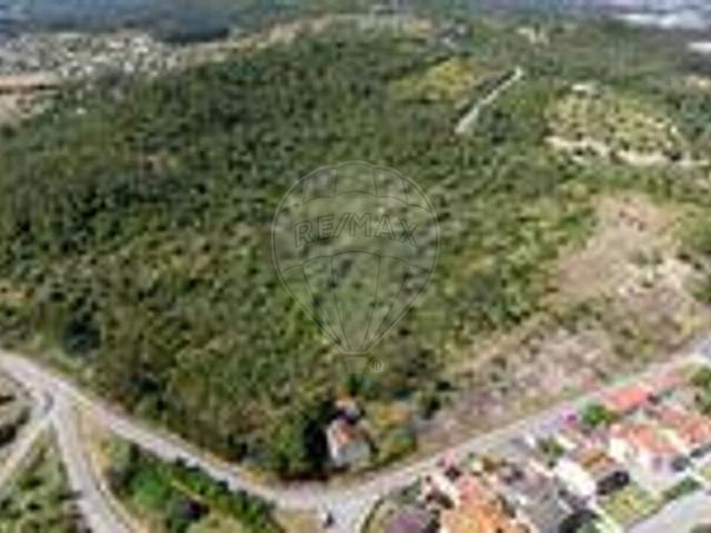 Terreno à venda em Montemor o Velho