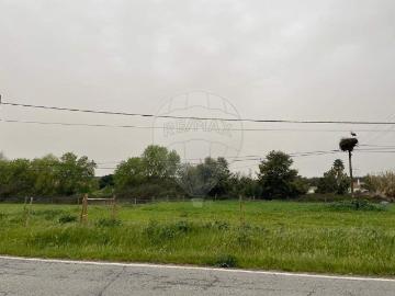 Terreno à venda em Montemor o Novo