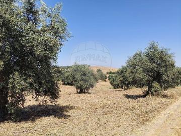 Terreno à venda em Montemor o Novo