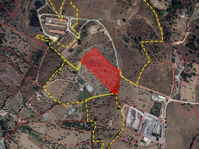 Terreno à venda em Montemor o Novo