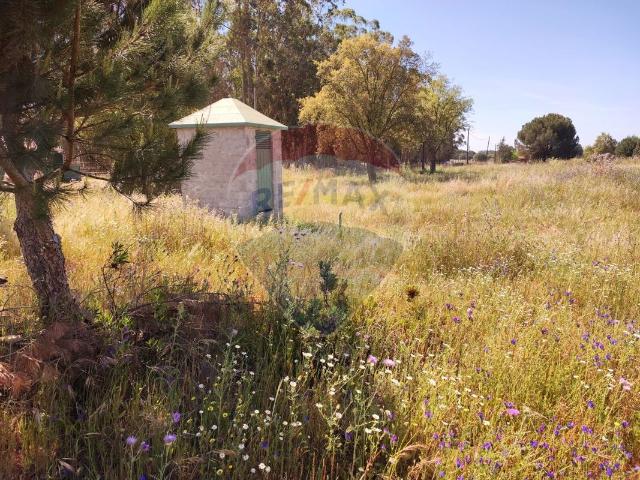 Terreno à venda em Pegões, Montijo RE/MAX Portugal