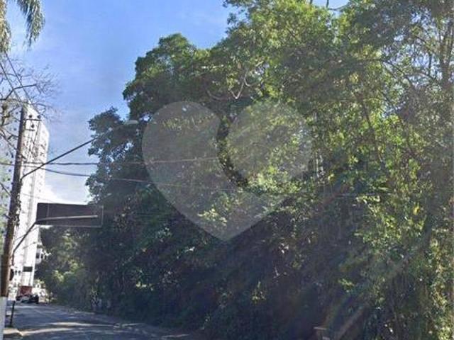 Terreno à venda em Morro nova cintra SP