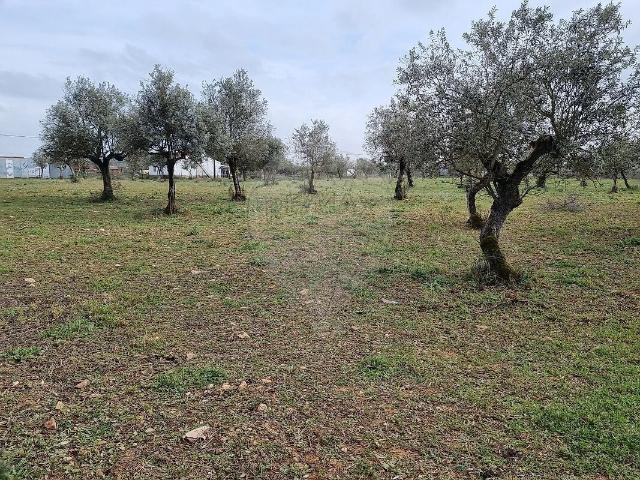 Terreno à venda em Matriz Borba, Borba RE/MAX Portugal