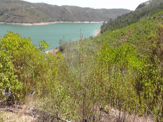 Terreno à venda em Maxial