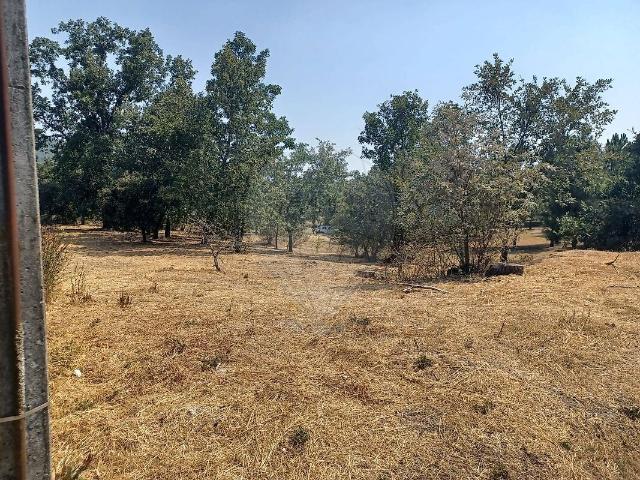 Terreno à venda em Maçaínhas, Belmonte RE/MAX Portugal