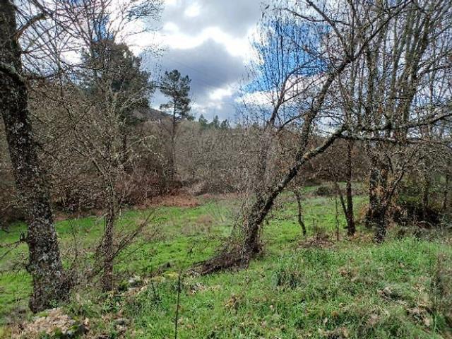 Terreno à venda em Maçaínhas, Belmonte RE/MAX Portugal