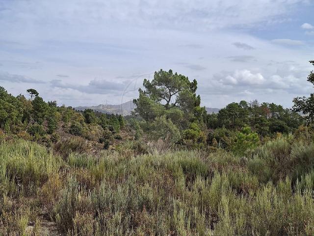 Terreno à venda em Maçaínhas, Belmonte RE/MAX Portugal