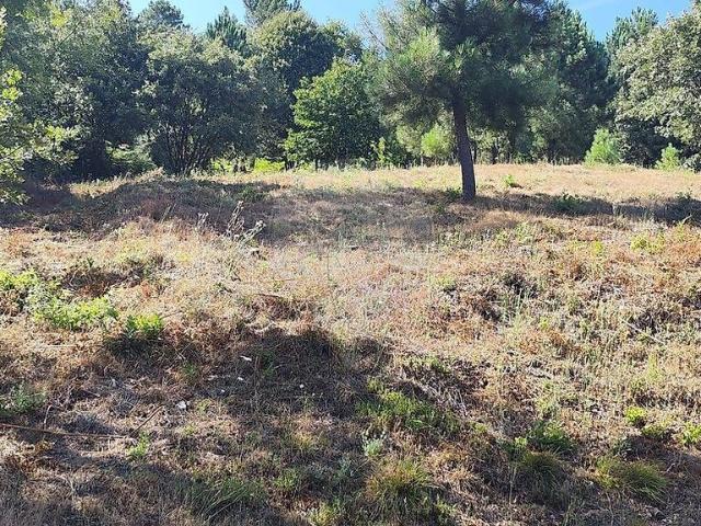 Terreno à venda em Maçainhas, Guarda RE/MAX Portugal