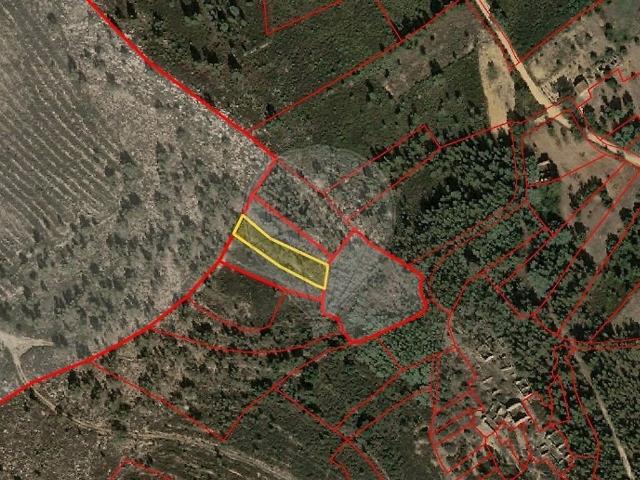 Terreno à venda em Mação, Penhascoso e Aboboreira, Mação RE/MAX Portugal