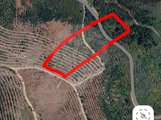 Terreno à venda em Mação, Penhascoso e Aboboreira, Mação RE/MAX Portugal