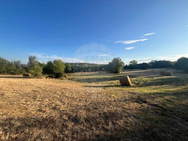 Terreno à venda em Macedo de Cavaleiros