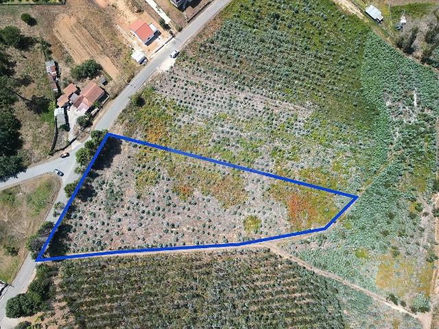 Terreno à venda em Macinhata do Vouga, Águeda RE/MAX Portugal