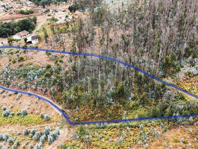 Terreno à venda em Macinhata do Vouga, Águeda RE/MAX Portugal