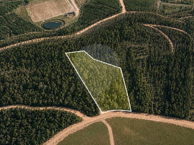 Terreno à venda em Macieira da Lixa e Caramos, Felgueiras RE/MAX Portugal