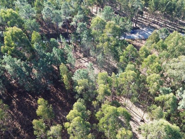 Terreno à venda em Macieira da Lixa e Caramos, Felgueiras RE/MAX Portugal