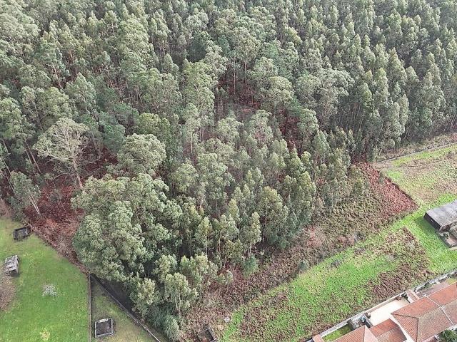 Terreno à venda em Macieira da Lixa e Caramos, Felgueiras RE/MAX Portugal