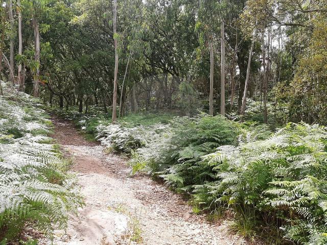 Terreno à venda em Mafra