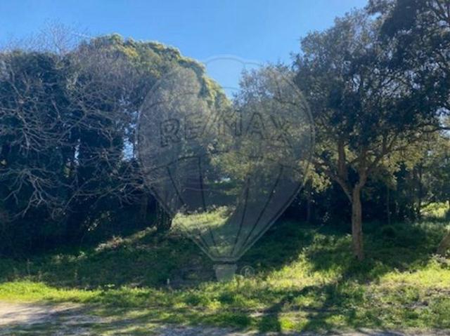 Terreno à venda em Mafra