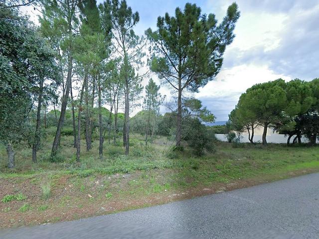 Terreno à venda em Malhou, Louriceira e Espinheiro, Alcanena RE/MAX Portugal