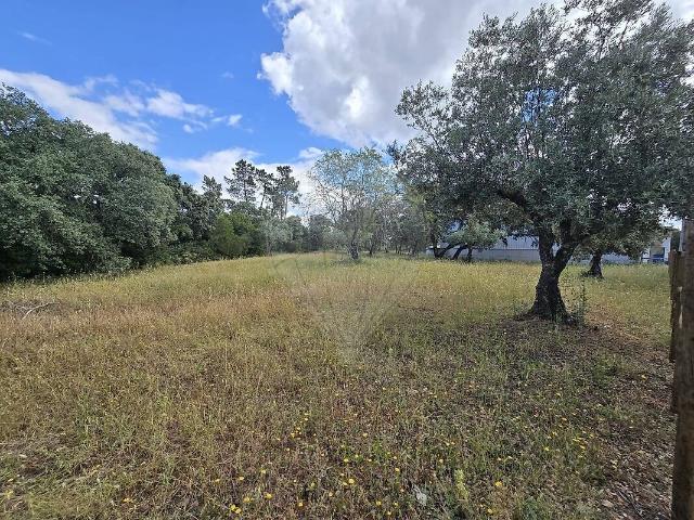 Terreno à venda em Malhou, Louriceira e Espinheiro, Alcanena RE/MAX Portugal