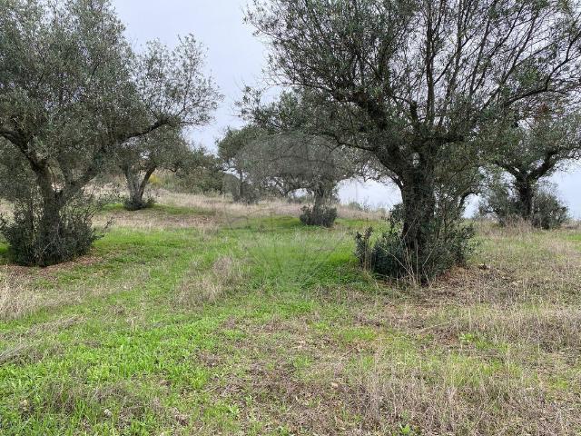 Terreno à venda em Malpica do Tejo, Castelo Branco RE/MAX Portugal