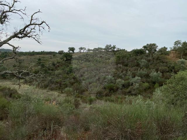 Terreno à venda em Malpica do Tejo, Castelo Branco RE/MAX Portugal