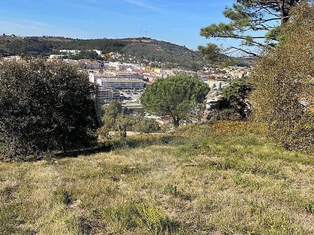 Terreno à venda em Malveira e São Miguel de Alcainça, Mafra RE/MAX Portugal