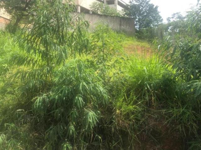 Terreno à venda em Manacás