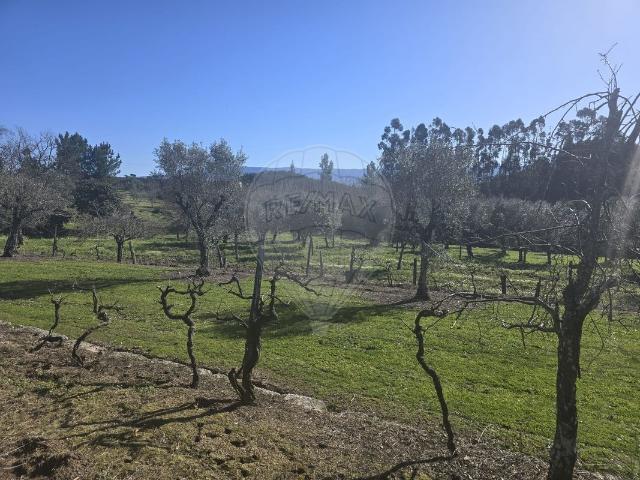 Terreno à venda em Mangualde