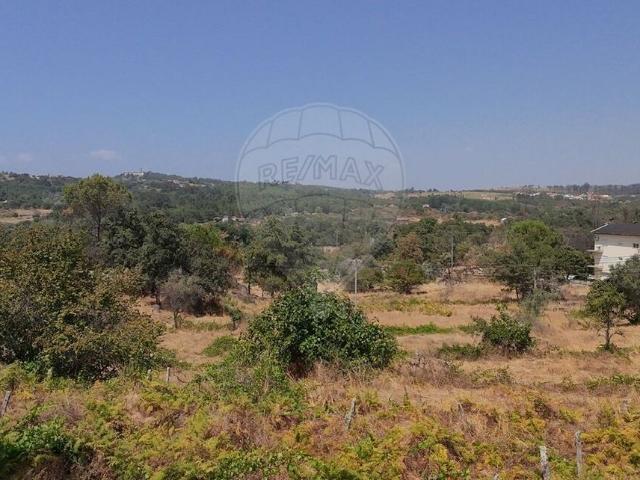 Terreno à venda em Mangualde