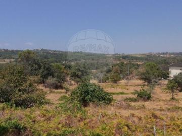 Terreno à venda em Mangualde