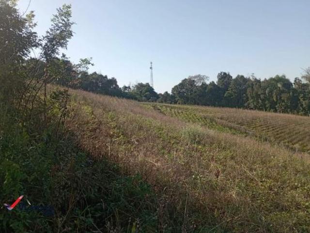 Terreno á venda em Mandirituba PR