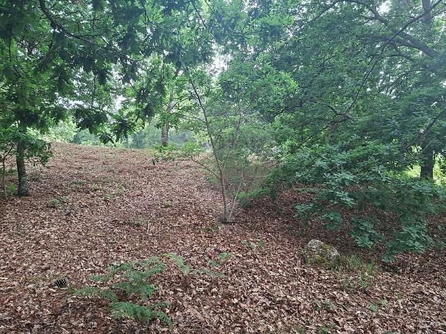 Terreno à venda em Marco, Marco de Canaveses RE/MAX Portugal