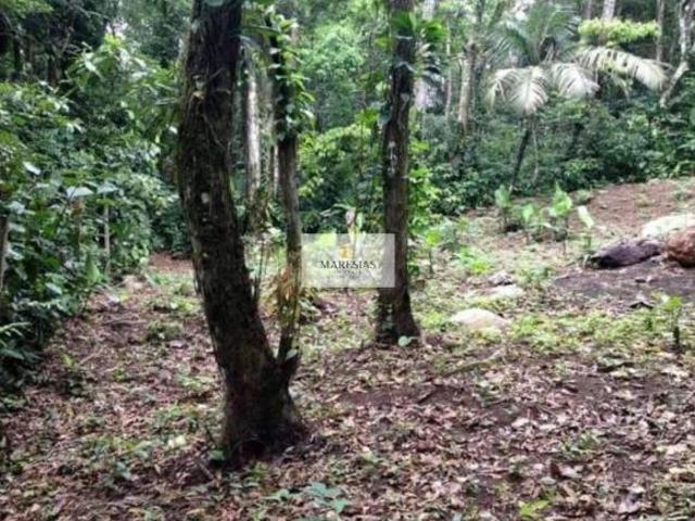 Terreno à venda em Maresias