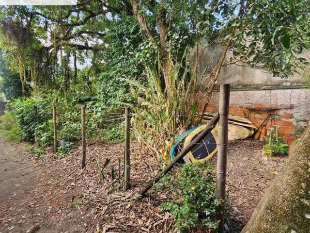 Terreno à venda em Maresias