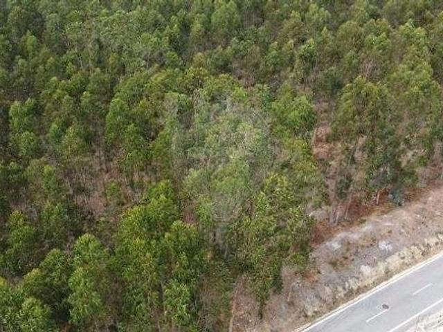 Terreno à venda em Marinha das Ondas, Figueira da Foz RE/MAX Portugal