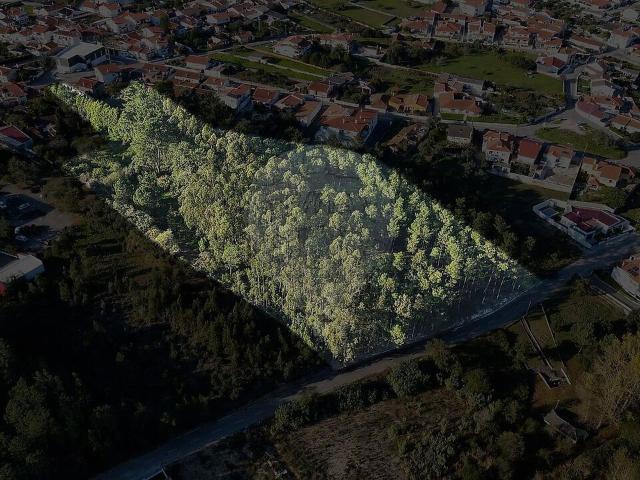 Terreno à venda em Marinha Grande